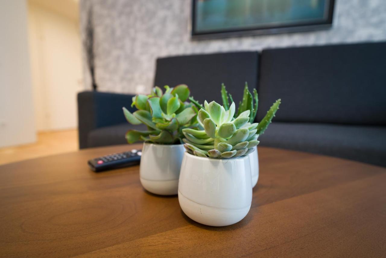 Myapartments Vienna Exterior photo Succulents in a living room